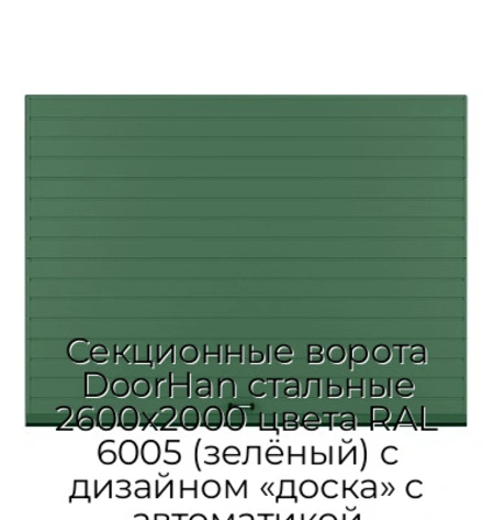 sekczionnyie-vorota-doorhan-stalnyie-2600x2000-czveta-ral-6005-zelyonyij-s-dizajnom-«doska»-s-avtomatikoj