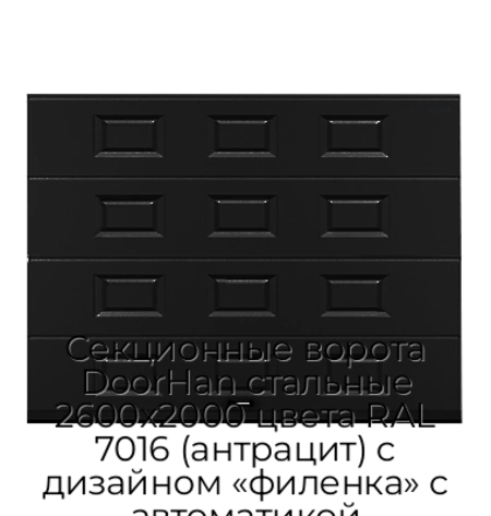 sekczionnyie-vorota-doorhan-stalnyie-2600x2000-czveta-ral-7016-antraczit-s-dizajnom-«filenka»-s-avtomatikoj