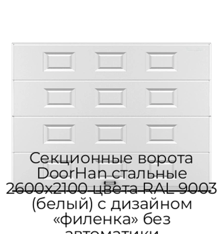 sekczionnyie-vorota-doorhan-stalnyie-2600x2100-czveta-ral-9003-belyij-s-dizajnom-«filenka»-bez-avtomatiki