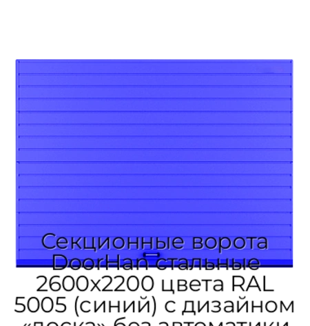 sekczionnyie-vorota-doorhan-stalnyie-2600x2200-czveta-ral-5005-sinij-s-dizajnom-«doska»-bez-avtomatiki