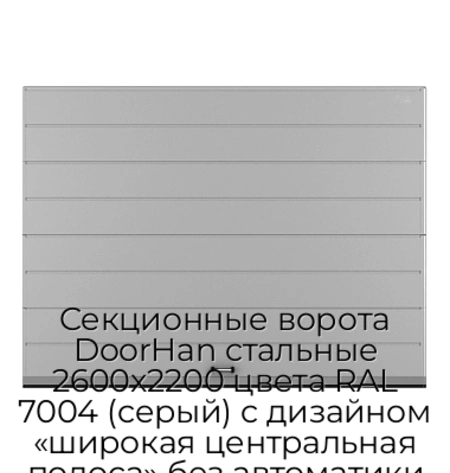sekczionnyie-vorota-doorhan-stalnyie-2600x2200-czveta-ral-7004-seryij-s-dizajnom-«shirokaya-czentralnaya-polosa»-bez-avtomatiki