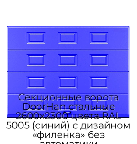 sekczionnyie-vorota-doorhan-stalnyie-2600x2300-czveta-ral-5005-sinij-s-dizajnom-«filenka»-bez-avtomatiki