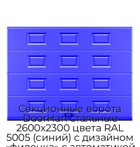 sekczionnyie-vorota-doorhan-stalnyie-2600x2300-czveta-ral-5005-sinij-s-dizajnom-«filenka»-s-avtomatikoj