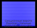 sekczionnyie-vorota-doorhan-stalnyie-2600x2300-czveta-ral-5005-sinij-s-dizajnom-«shirokaya-czentralnaya-polosa»-s-avtomatikoj
