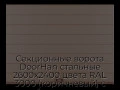 sekczionnyie-vorota-doorhan-stalnyie-2600x2400-czveta-ral-3000-korichnevyij-s-dizajnom-«shirokaya-czentralnaya-polosa»-s-avtomatikoj