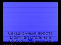 sekczionnyie-vorota-doorhan-stalnyie-2600x2400-czveta-ral-5005-sinij-s-dizajnom-«shirokaya-czentralnaya-polosa»-bez-avtomatiki