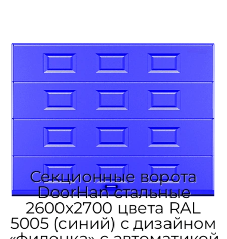 sekczionnyie-vorota-doorhan-stalnyie-2600x2700-czveta-ral-5005-sinij-s-dizajnom-«filenka»-s-avtomatikoj