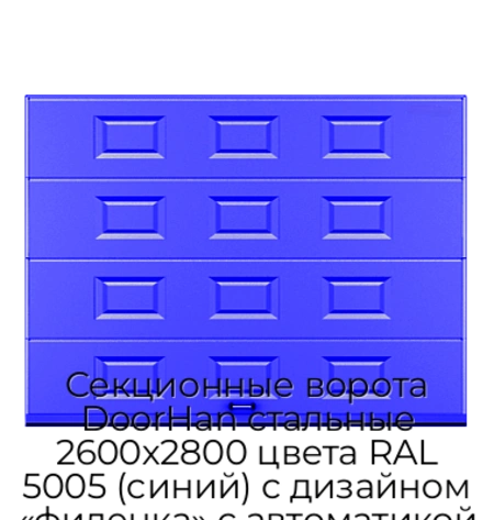 sekczionnyie-vorota-doorhan-stalnyie-2600x2800-czveta-ral-5005-sinij-s-dizajnom-«filenka»-s-avtomatikoj