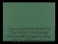 sekczionnyie-vorota-doorhan-stalnyie-2600x2800-czveta-ral-6005-zelyonyij-s-dizajnom-«shirokaya-czentralnaya-polosa»-s-avtomatikoj