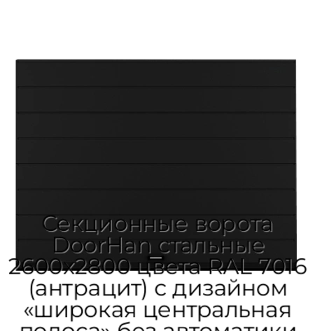 sekczionnyie-vorota-doorhan-stalnyie-2600x2800-czveta-ral-7016-antraczit-s-dizajnom-«shirokaya-czentralnaya-polosa»-bez-avtomatiki