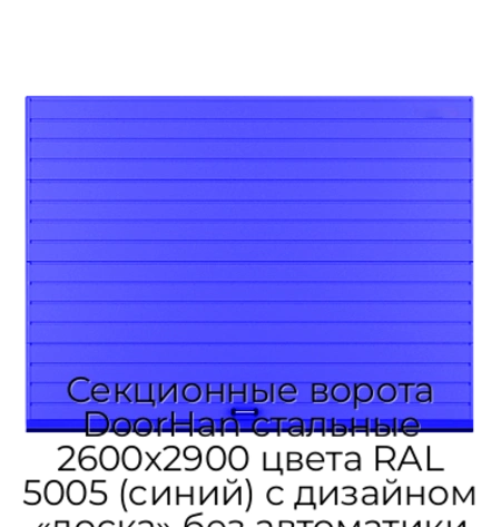 sekczionnyie-vorota-doorhan-stalnyie-2600x2900-czveta-ral-5005-sinij-s-dizajnom-«doska»-bez-avtomatiki