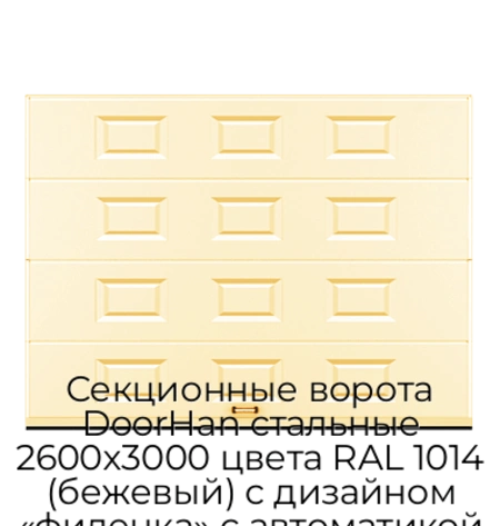 sekczionnyie-vorota-doorhan-stalnyie-2600x3000-czveta-ral-1014-bezhevyij-s-dizajnom-«filenka»-s-avtomatikoj