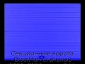 sekczionnyie-vorota-doorhan-stalnyie-2600x3000-czveta-ral-5005-sinij-s-dizajnom-«volna»-s-avtomatikoj