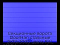 sekczionnyie-vorota-doorhan-stalnyie-2600x3000-czveta-ral-5005-sinij-s-dizajnom-«shirokaya-czentralnaya-polosa»-bez-avtomatiki