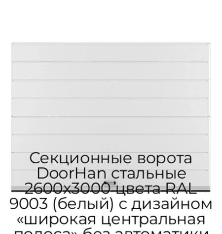 sekczionnyie-vorota-doorhan-stalnyie-2600x3000-czveta-ral-9003-belyij-s-dizajnom-«shirokaya-czentralnaya-polosa»-bez-avtomatiki