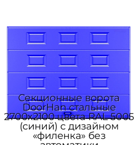 sekczionnyie-vorota-doorhan-stalnyie-2700x2100-czveta-ral-5005-sinij-s-dizajnom-«filenka»-bez-avtomatiki