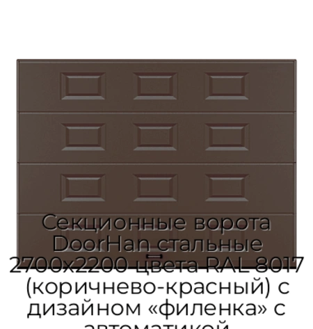 sekczionnyie-vorota-doorhan-stalnyie-2700x2200-czveta-ral-8017-korichnevo-krasnyij-s-dizajnom-«filenka»-s-avtomatikoj