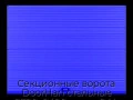 sekczionnyie-vorota-doorhan-stalnyie-2700x2400-czveta-ral-5005-sinij-s-dizajnom-«volna»-bez-avtomatiki