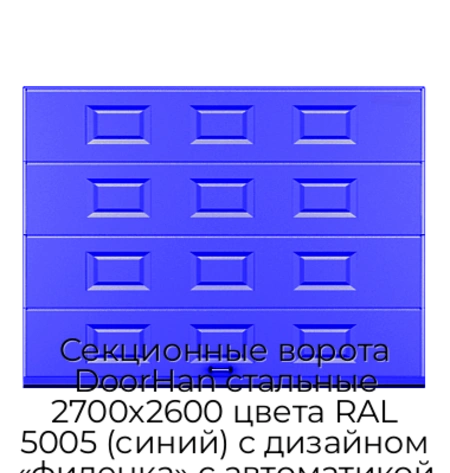 sekczionnyie-vorota-doorhan-stalnyie-2700x2600-czveta-ral-5005-sinij-s-dizajnom-«filenka»-s-avtomatikoj
