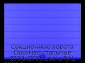 sekczionnyie-vorota-doorhan-stalnyie-2700x2700-czveta-ral-5005-sinij-s-dizajnom-«shirokaya-czentralnaya-polosa»-s-avtomatikoj