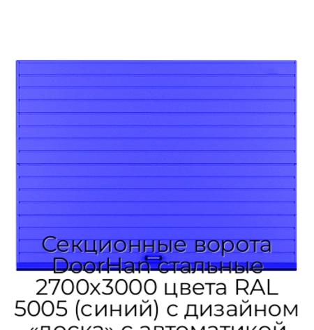 sekczionnyie-vorota-doorhan-stalnyie-2700x3000-czveta-ral-5005-sinij-s-dizajnom-«doska»-s-avtomatikoj