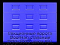 sekczionnyie-vorota-doorhan-stalnyie-2700x3000-czveta-ral-5005-sinij-s-dizajnom-«filenka»-bez-avtomatiki