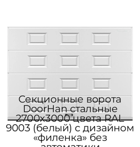sekczionnyie-vorota-doorhan-stalnyie-2700x3000-czveta-ral-9003-belyij-s-dizajnom-«filenka»-bez-avtomatiki