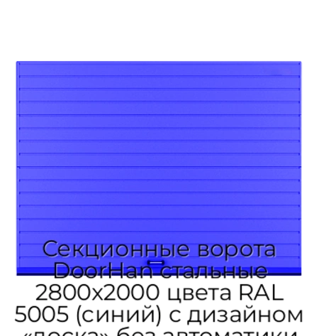 sekczionnyie-vorota-doorhan-stalnyie-2800x2000-czveta-ral-5005-sinij-s-dizajnom-«doska»-bez-avtomatiki
