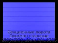 sekczionnyie-vorota-doorhan-stalnyie-2800x2100-czveta-ral-5005-sinij-s-dizajnom-«shirokaya-czentralnaya-polosa»-s-avtomatikoj