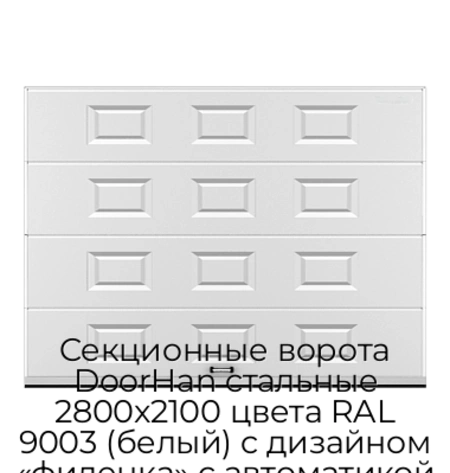 sekczionnyie-vorota-doorhan-stalnyie-2800x2100-czveta-ral-9003-belyij-s-dizajnom-«filenka»-s-avtomatikoj