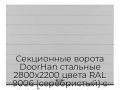 sekczionnyie-vorota-doorhan-stalnyie-2800x2200-czveta-ral-9006-serebristyij-s-dizajnom-«shirokaya-czentralnaya-polosa»-bez-avtomatiki