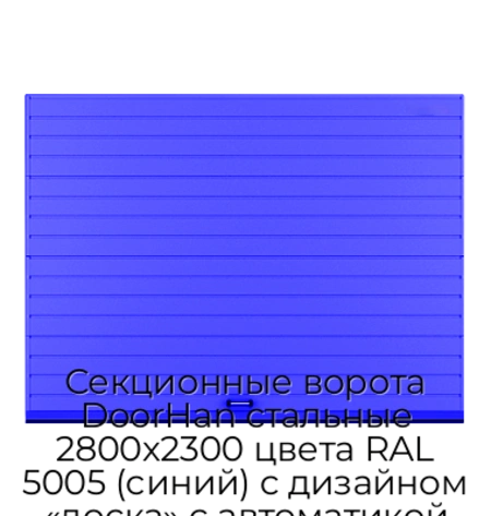 sekczionnyie-vorota-doorhan-stalnyie-2800x2300-czveta-ral-5005-sinij-s-dizajnom-«doska»-s-avtomatikoj