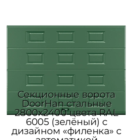 sekczionnyie-vorota-doorhan-stalnyie-2800x2400-czveta-ral-6005-zelyonyij-s-dizajnom-«filenka»-s-avtomatikoj
