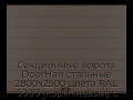 sekczionnyie-vorota-doorhan-stalnyie-2800x2500-czveta-ral-3000-korichnevyij-s-dizajnom-«shirokaya-czentralnaya-polosa»-s-avtomatikoj