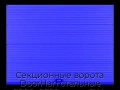 sekczionnyie-vorota-doorhan-stalnyie-2800x2500-czveta-ral-5005-sinij-s-dizajnom-«volna»-bez-avtomatiki