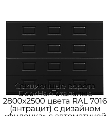 sekczionnyie-vorota-doorhan-stalnyie-2800x2500-czveta-ral-7016-antraczit-s-dizajnom-«filenka»-s-avtomatikoj