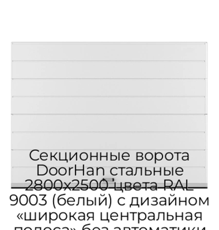 sekczionnyie-vorota-doorhan-stalnyie-2800x2500-czveta-ral-9003-belyij-s-dizajnom-«shirokaya-czentralnaya-polosa»-bez-avtomatiki