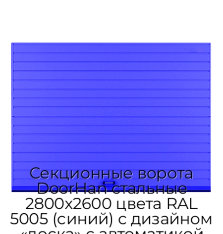 sekczionnyie-vorota-doorhan-stalnyie-2800x2600-czveta-ral-5005-sinij-s-dizajnom-«doska»-s-avtomatikoj
