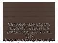 sekczionnyie-vorota-doorhan-stalnyie-2800x2600-czveta-ral-8017-korichnevo-krasnyij-s-dizajnom-«shirokaya-czentralnaya-polosa»-s-avtomatikoj