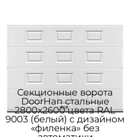 sekczionnyie-vorota-doorhan-stalnyie-2800x2600-czveta-ral-9003-belyij-s-dizajnom-«filenka»-bez-avtomatiki