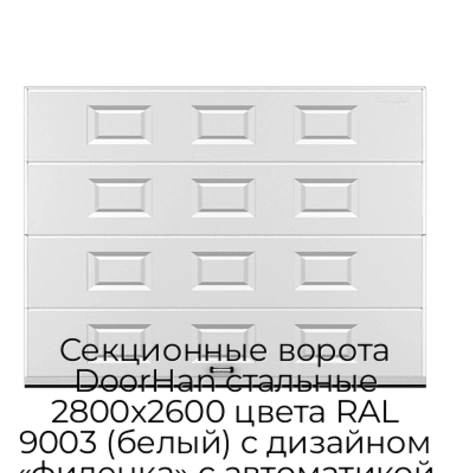 sekczionnyie-vorota-doorhan-stalnyie-2800x2600-czveta-ral-9003-belyij-s-dizajnom-«filenka»-s-avtomatikoj