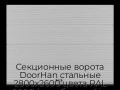 sekczionnyie-vorota-doorhan-stalnyie-2800x2600-czveta-ral-9006-serebristyij-s-dizajnom-«volna»-bez-avtomatiki
