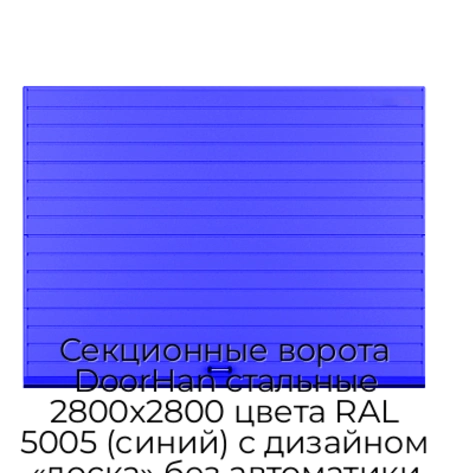 sekczionnyie-vorota-doorhan-stalnyie-2800x2800-czveta-ral-5005-sinij-s-dizajnom-«doska»-bez-avtomatiki
