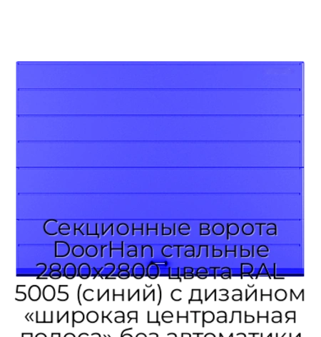 sekczionnyie-vorota-doorhan-stalnyie-2800x2800-czveta-ral-5005-sinij-s-dizajnom-«shirokaya-czentralnaya-polosa»-bez-avtomatiki