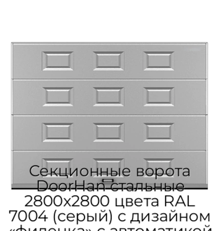 sekczionnyie-vorota-doorhan-stalnyie-2800x2800-czveta-ral-7004-seryij-s-dizajnom-«filenka»-s-avtomatikoj