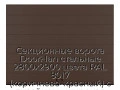 sekczionnyie-vorota-doorhan-stalnyie-2800x2900-czveta-ral-8017-korichnevo-krasnyij-s-dizajnom-«shirokaya-czentralnaya-polosa»-bez-avtomatiki