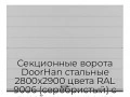 sekczionnyie-vorota-doorhan-stalnyie-2800x2900-czveta-ral-9006-serebristyij-s-dizajnom-«shirokaya-czentralnaya-polosa»-s-avtomatikoj