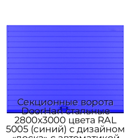 sekczionnyie-vorota-doorhan-stalnyie-2800x3000-czveta-ral-5005-sinij-s-dizajnom-«doska»-s-avtomatikoj