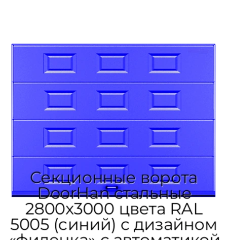 sekczionnyie-vorota-doorhan-stalnyie-2800x3000-czveta-ral-5005-sinij-s-dizajnom-«filenka»-s-avtomatikoj