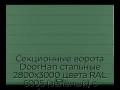 sekczionnyie-vorota-doorhan-stalnyie-2800x3000-czveta-ral-6005-zelyonyij-s-dizajnom-«shirokaya-czentralnaya-polosa»-s-avtomatikoj
